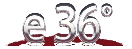 e 36 logo